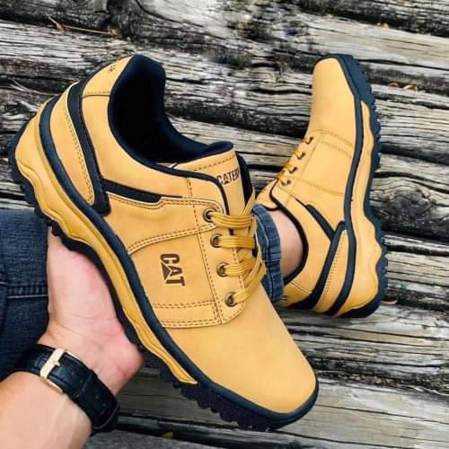 Vista 4 de CATERPILLAR CAÑA BAJA + CAJA